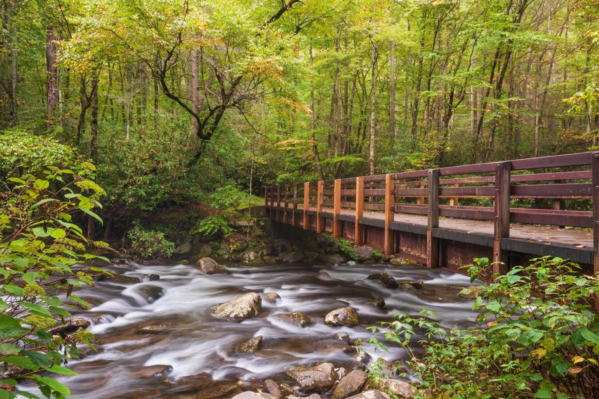River Breeze, Wifi, 1089 Free Tickets Each Paid Day, Dollywood And More Pigeon Forge Eksteriør billede